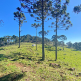 Terreno  venda - Morro da Igreja - Vista para Cachoeira