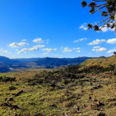 Terreno a Venda - tima Localizao - Serra Catarinense 