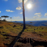 Terreno a Venda - tima Localizao - Serra Catarinense 