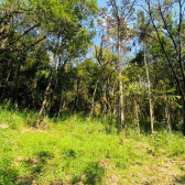 Terreno a Venda - Serra Catarinense - Vista para as Montanhas 