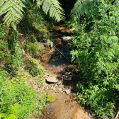 Terreno a Venda - Serra Catarinense - Vista para as Montanhas 