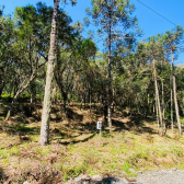 Terreno a Venda - Serra Catarinense - Vista para as Montanhas 