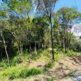 Terreno a Venda - Serra Catarinense - Vista para as Montanhas 