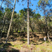 Terreno a Venda - Serra Catarinense - Vista para as Montanhas 