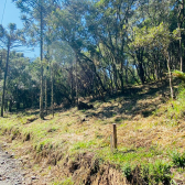 Terreno a Venda - Serra Catarinense - Vista para as Montanhas 