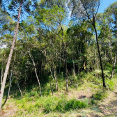 Terreno a Venda - Serra Catarinense - Vista para as Montanhas 