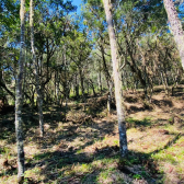 Terreno a Venda - Serra Catarinense - Vista para as Montanhas 