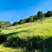 Terreno  Venda - Rio dos Bugres - Vista das Montanhas