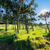 Terreno  Venda - Rio dos Bugres - Vista das Montanhas