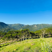 Terreno  Venda - Rio dos Bugres - Vista das Montanhas