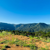 Terreno  Venda - Rio dos Bugres - Vista das Montanhas