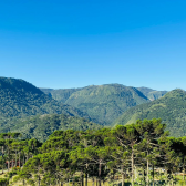 Terreno  Venda - Rio dos Bugres - Vista das Montanhas