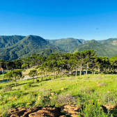 Terreno  Venda - Rio dos Bugres - Vista das Montanhas