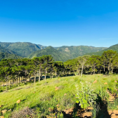 Terreno  Venda - Rio dos Bugres - Vista das Montanhas