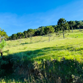 Terreno  Venda - Rio dos Bugres - Vista das Montanhas