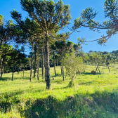 Terreno  Venda - Rio dos Bugres - Vista das Montanhas