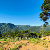 Terreno  Venda - Rio dos Bugres - Vista das Montanhas