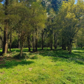 Terreno  venda - Rio dos Bugres - Excelente Vista