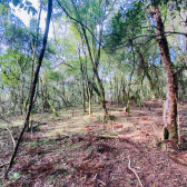 Terreno a Venda - Serra Catarinense -  tima Localizao