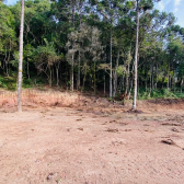 Terreno a Venda - Serra Catarinense -  tima Localizao