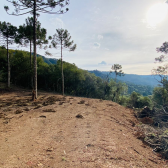 Terreno a Venda - Serra Catarinense -  tima Localizao