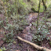 Terreno a Venda - Serra Catarinense -  tima Localizao