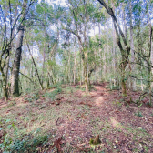 Terreno a Venda - Serra Catarinense -  tima Localizao