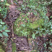 Terreno a Venda - Serra Catarinense -  tima Localizao