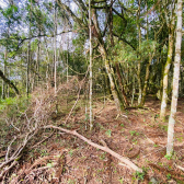 Terreno a Venda - Serra Catarinense -  tima Localizao