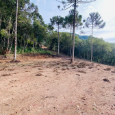 Terreno a Venda - Serra Catarinense -  tima Localizao