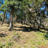 Terreno a Venda - Serra Catarinense - Vista das Montanhas 