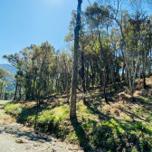 Terreno a Venda - Serra Catarinense - Vista das Montanhas 