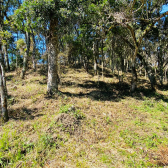 Terreno a Venda - Serra Catarinense - Vista das Montanhas 