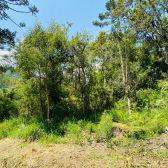 Terreno a Venda - Serra Catarinense - Vista das Montanhas 