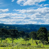 Terreno a Venda - Serra Catarinense - Vista para o Vale