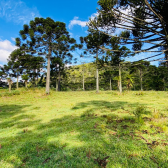 Terreno a Venda - Serra Catarinense - Vista para o Vale