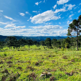 Terreno a Venda - Serra Catarinense - Vista para o Vale