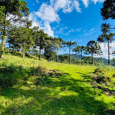 Terreno a Venda - Serra Catarinense - Vista para o Vale