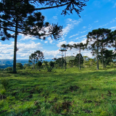 Terreno a Venda - Serra Catarinense - Vista para o Vale