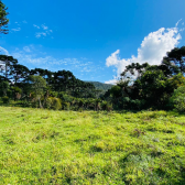 Terreno a Venda - Serra Catarinense - Vista para o Vale