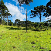 Terreno a Venda - Serra Catarinense - Vista para o Vale