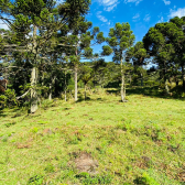 Terreno a Venda - Serra Catarinense - Vista para o Vale