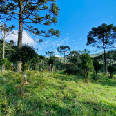 Terreno a Venda - Serra Catarinense - Vista para o Vale e Montanhas