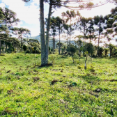 Terreno a Venda - Serra Catarinense - Vista para o Vale e Montanhas