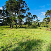 Terreno a Venda - Serra Catarinense - Vista para o Vale e Montanhas