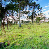 Terreno a Venda - Serra Catarinense - Vista para o Vale e Montanhas