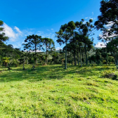 Terreno a Venda - Serra Catarinense - Vista para o Vale e Montanhas