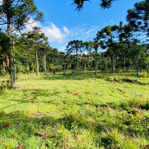 Terreno a Venda - Serra Catarinense - Vista para o Vale e Montanhas