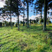 Terreno a Venda - Serra Catarinense - Vista para o Vale e Montanhas