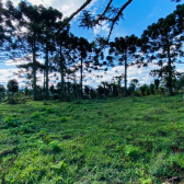 Terreno a Venda - Serra Catarinense - Vista para o Vale e Montanhas